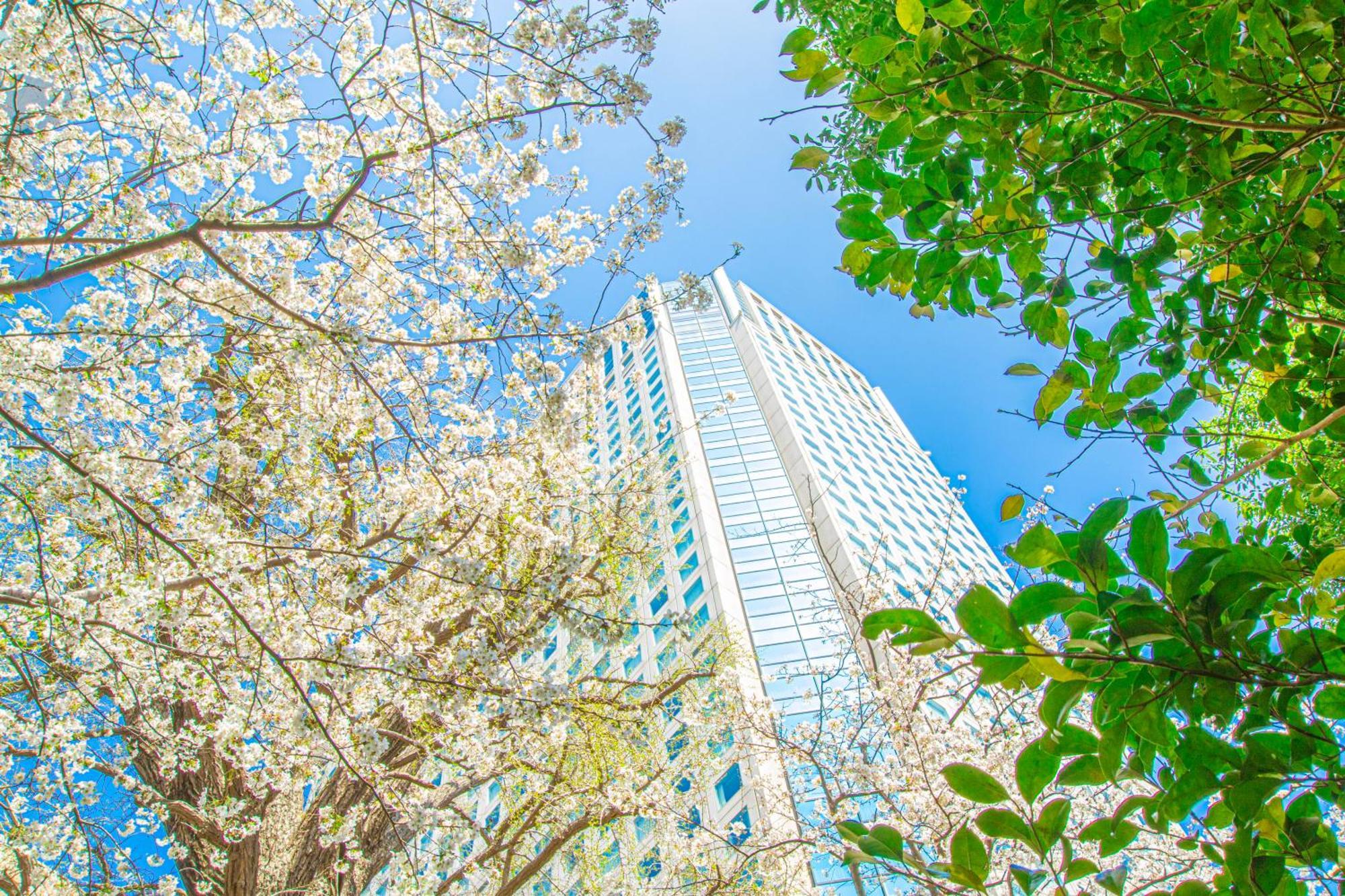 Shinagawa Prince Hotel Tokió Kültér fotó
